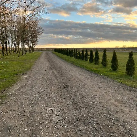 Luxury Curchi 1 아파트 빌룬드