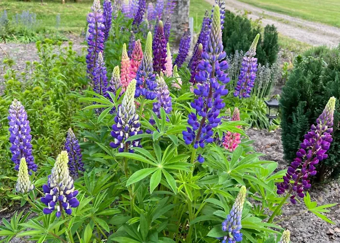 Appartement Luxury Curchi 1 Billund