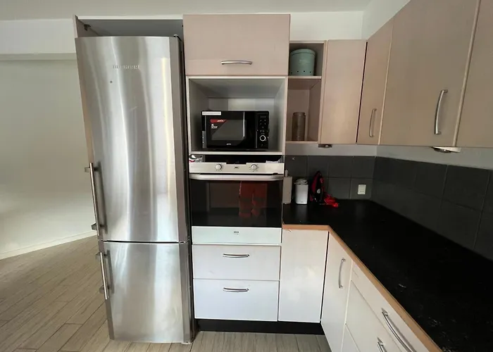 Appartement Luxury Curchi 1 *